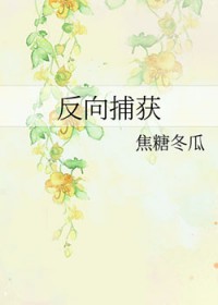 ���򲶻�